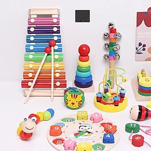 wooden Education toys Montessori Cognitive Matching and Sorting for Boy and Girl 1-6