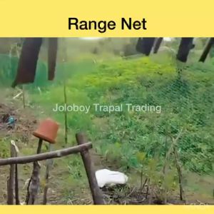 100 METERS RANGE CHICKEN POLY NET RANGING RANGE ANTI-BIRD FLYING PEN FENCE SCREEN