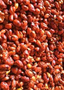 Kulit Mlinjo Pedas Manis | Moto Maling ( 500 gram )