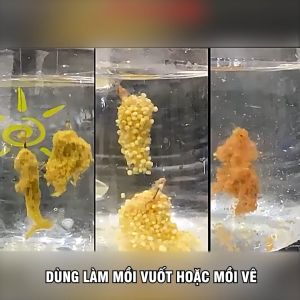 Bột Tơ Nhện Câu Cá Thích Hợp Cho Mọi Loại Mồi Làm Từ Nguyên Liệu Thực Vật Cao Cấp