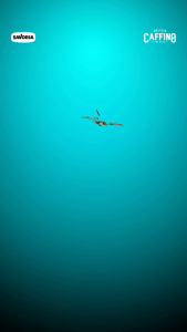 Caffino Ready To Drink - Minuman Kopi Botol 200ml