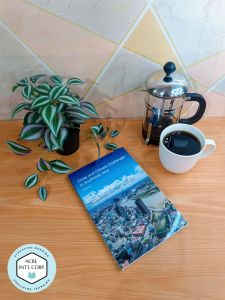 Cities and Climate Challenges in Southeast Asia Paperback