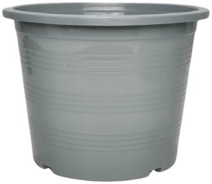 กระถาง กระถางต้นไม้ กระถางพลาสติก เบอร์ 6 นิ้ว สีเทา 50 ใบ ชิ้น อัน