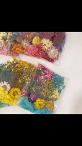 Handmade Eternal DIY Photo Frame Dry Flower Material Bag Indoor And Outdoor Decorations For Holiday Parties
