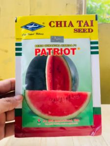 Benih Semangka PATRIOT dari Cap Kapal Terbang isi 20 gr
