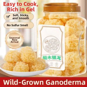 Sulfur-Free Wild Gel-Forming Silver Ear Fungus Shreds for Pregnant Women