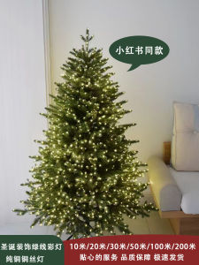 Christmas Tree Lamp String Green Wire Copper Wire Light Color Light String Flashing Light Star Light Copper Wire Light Christmas Decorations Arrangement