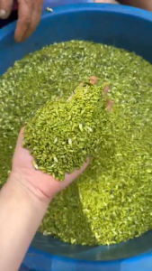 Trà Hoa Hòe Khô Đã Sao Thơm – Trà Hoa Hòe Thái Bình Thảo Mộc Tự Nhiên Thanh Nhiệt Ngủ Ngon – Túi 500g