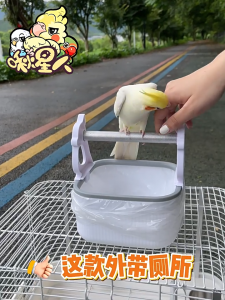 Bird Toy & Parrot Training Stand with Droppings Tray | Portable Tabletop Bird Perch for Cockatiels Lovebirds Conures | Mess-Free Easy Cleaning