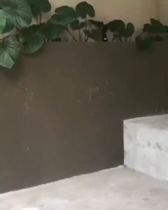 Abaya Renda Bordir & Desain Elegan