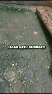 SPRAY PENGHILANG LUMUT untuk Halaman Rumah 1 Liter+500ml