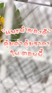 ไม้ตียุงไฟฟ้า 3000V 500mah ไม้ตียุง ไม้ช็อตยุงไฟฟ้า ไม้ช็อตยุง พื้นผิวตาข่ายสามชั้น ไม่ตียุงไฟฟ้า