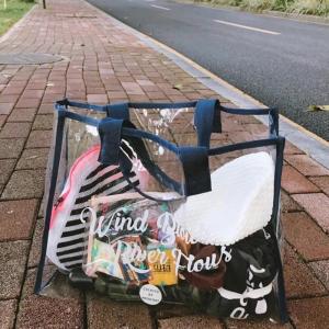 Large Capacity Swimming Suit Storage Bag Transparent Waterproof Beach Bag Dry Wet Separation Jelly Bag Handbag for Swimming Fitness