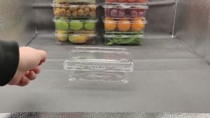 Mika Box Buah & Plastik Tray Dengan Kuncian: Pilihan Terbaik untuk Salad Sayuran