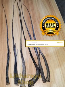 【🔥NEW!!🔥】LONG BUNTOT PAGI Stringray Mabisang Proteksyon sa Masamang Elemento (15-18) Inches Excellent Quality/Pantaboy ng Masamang Bad Spirit Pantaboy Malas