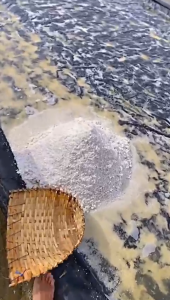 Garam Krosok 1kg Garam Kasar Kristal Super Premium Murah