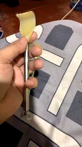 Stainless Steel Telescopic Back Scratcher Extendable Back Itching Self Massager Pang Kamot Sa likod Scrather