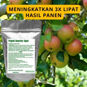 Pupuk Booster Apel Pelebat Organik Cepat Berbuah Lebat Besar Anti Rontok Pembesar Apel