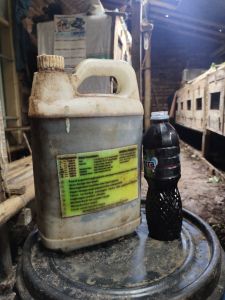 pupuk organik cair urine kelinci penyubur tanaman bungasayur dan buah