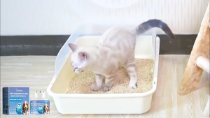 [SG Stock]Pet Deodorant pet anti bacteria odour remover Pet Aroma Deodorizing Remover Urine Odor Air Freshening Removes 宠物除臭凝胶