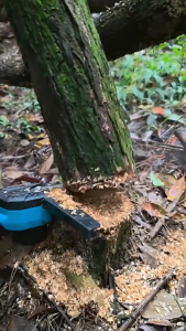 【อัพเกรด】6นิ้ว เลื่อยไฟฟ้าไร้สาย เลื่อยโซ่ไร้สาย เลื่อยไฟฟ้า เลื่อยตัดกิ่งไฟฟ้า เลื่อยโซ่ เลื่อยโซ่เลื่อยไฟฟ้า เลื่อยยนต์ตัดไม้ Cordless Chainsaw แบตเตอรี่ที่เหมาะกับ Makita