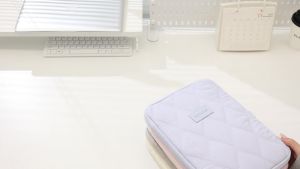 Tablet Sleeve Case for 10–11 Inch Devices Portable Protective Storage RH2568