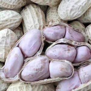 Garlic Flavored Peanuts