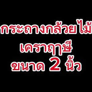 กระถางต้นเคราฤาษี ทิลแลนเซีย ขนาด 2 นิ้ว กระถางต้นไม้พลาสติก กระถางปลูกต้นไม้ กระถางพลาสติก
