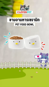 CleverPet ชามอาหารแมว เซรามิค ชามยกสูง ชามอาหารหมา ชามอาหารสัตว์เลี้ยง Pet Food Bowl