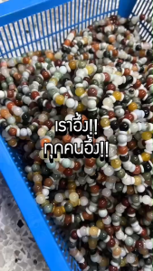 สร้อยแขนหยกเจไดต์/หยกหลายสี ร้อยพร้อมตัวขั้นหยกเจไดต์ ขนาด 10มิล