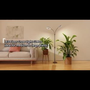 Đèn LED Trồng Cây Toàn Phổ Quang Cho Cây Trồng Trong Nhà Có Chân Đế Độ Sáng Điều Chỉnh Được Đèn Cây Dạng Vòng Cho Cây Cao Và Lớn