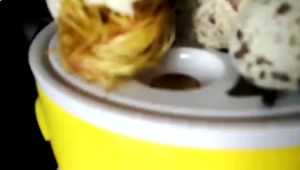 【店铺热门爆款】【1068人好评】HHD 全自动孵化器小型家用鸡鸭乌龟鸟蛋小型智能自动恒温孵蛋器