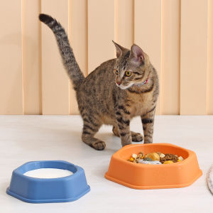 Bát Ăn Chậm Trí Tuệ Cho Thú Cưng Bát Cho Chó Trơn Trượt Chống Lật Bát Cho Chó Mèo Bát Cho Chó Thức Ăn Cho Mèo Bát Cơm Thức Ăn Cho Chó Poodle