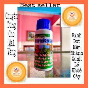 Kích đọt xanh lá mập lá bung chồi tượt cho mai vàng 50ml