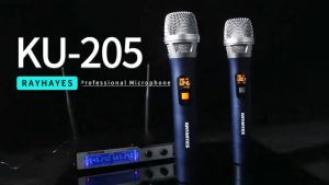 RAYHAYES UHF Wireless Microphone Set Metal Rechargeable Professional Microphones For Karaoke Performance