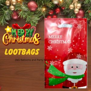 CHRISTMAS LOOTBAGS | FOIL AND PEARLY XMAS LOOT BAGS | 10PCS IN 1 PACK
