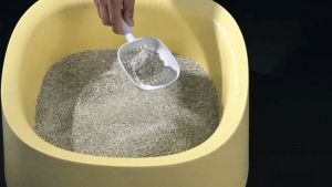 Dr.Felis HARD-BALL (4.3kg )