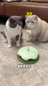 Factory New Cat Toy – Cat Spinning Wheel Spring Food Dispensing Ball Self-Entertainment Play Disc for Cats