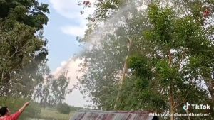 ด้ามพ่นยา DENA ของแท้ รุ่น J1 ก้านพ่นยา หัวฉีดเทอโบ ด้ามพ่นยาดีน่า ไม่สามารถปรับพุ่งแรงได้ ความยาว 21 CM