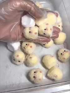 Chick Pinching and Pinch The Decorative Pendant Slow Rebound Decompression Toy