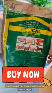 Cecical (1kg) - Belman Cecical Powder (Calcium) Cecical vitamin powder -pig Cecical calcium repack plus v22 powder 50g