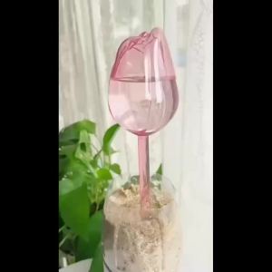 Transparent Thick PET Tulip Shaped Self Watering Spike Slow Release Irrigator for Indoor Potted Plants Balcony Home Garden