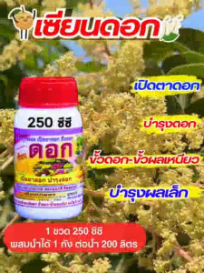 เซียนดอก ขนาด 250 ซีซี 1 ขวด เปิดตาดอก ยืดช่อ ผสมเกสรขั้วดอก-ขั้วผลเหนียว บำรุงดอก บรุงผลเล็ก ฮอร์โมนฉีดพ่นทางใบ