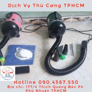 Máy Sấy Lông Công Suất Lớn tối đa 2800W cho Chó Mèo Ion âm khử trùng diệt khuẩn
