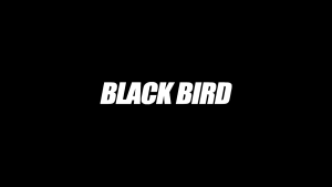 Cảm Biến Nhip Tim Đeo Ngực Blackbird HR1 Dual ANT+ Bluetooth IPX67 Mỏng Nhẹ Tương Thích Garmin IGPS Strava Wahoo Fitness