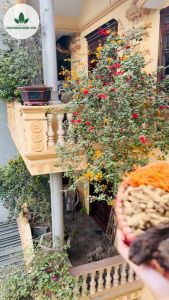 Thang ngâm bổ thận khỏe gân cốt 6 vị 12kg tăng cường sinh lý bồi bổ cơ thể - Chợ Thảo Dược Việt