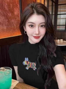 PEIXI | Rainbow Embroidery Semi-High Neck Short Sleeve Knitted Top