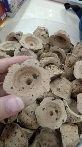 甘文烟 上等花型 甘文烟 kemanyan（50粒装）烟多味道佳/上等印尼石花型甘文烟 Classic kemenyan/神料/拜拿督公/上等花型加料印尼甘文烟 250粒装 kemenyan/上等花型甘文烟 250粒 纯正 纯正甘文烟