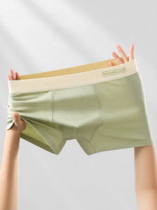 Baisina | Quần Sọt Cotton Chống Khuẩn Cho Teen Boys