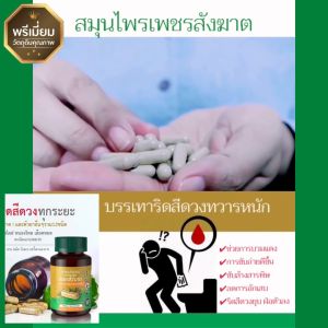 ส่งด่วนฟรี [3กระปุก] SN9เพชรสังฆาต ริดสีดวง สมุนไพรเพชรสังฆาต Hemorrhoids กระปุก50เม็ด ริดซี่ดวง แคปซูลเพชรสังฆาต
